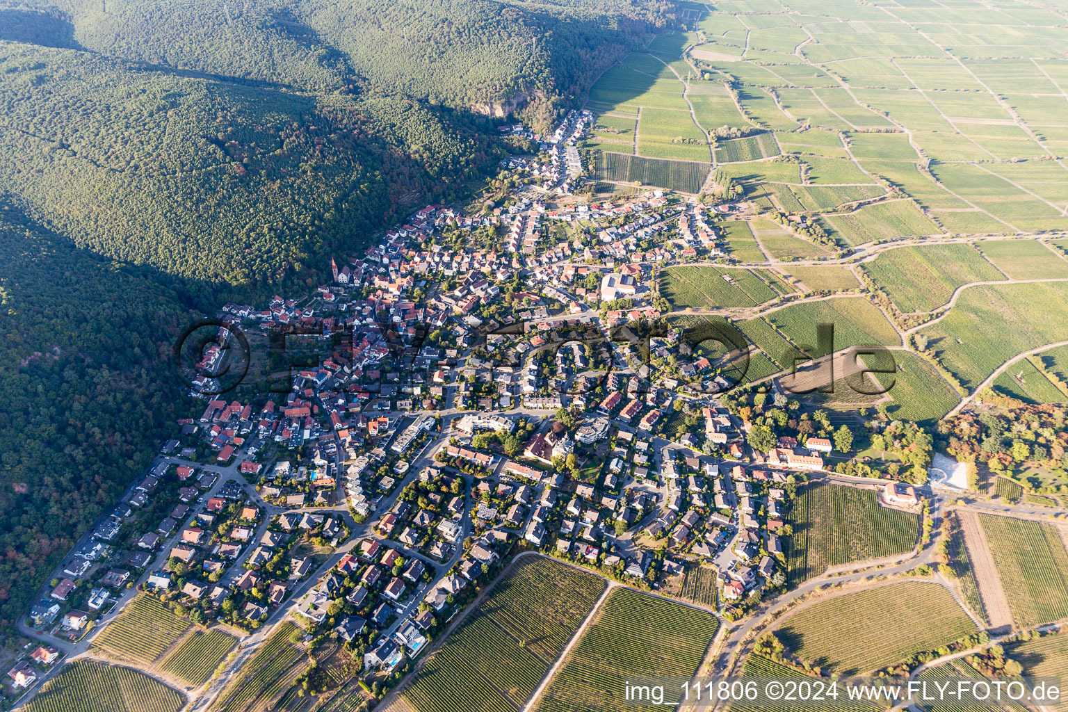 Village - view on the edge of wine yards in the district Koenigsbach in Neustadt an der Weinstrasse in the state Rhineland-Palatinate, Germany