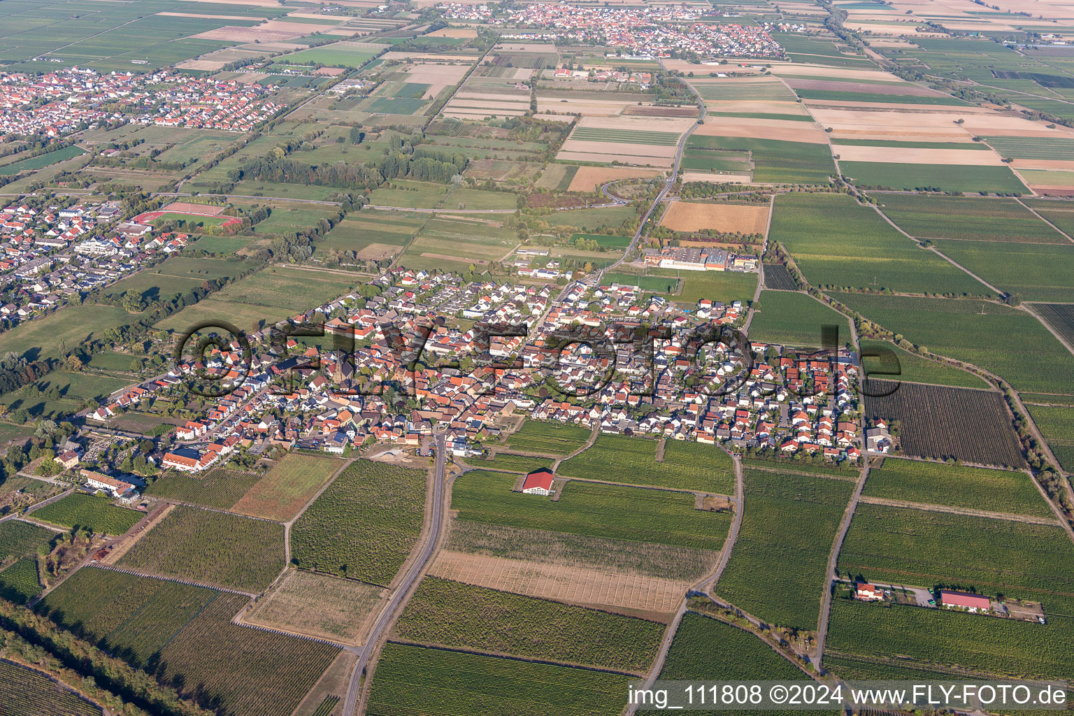 Drone recording of Ruppertsberg in the state Rhineland-Palatinate, Germany