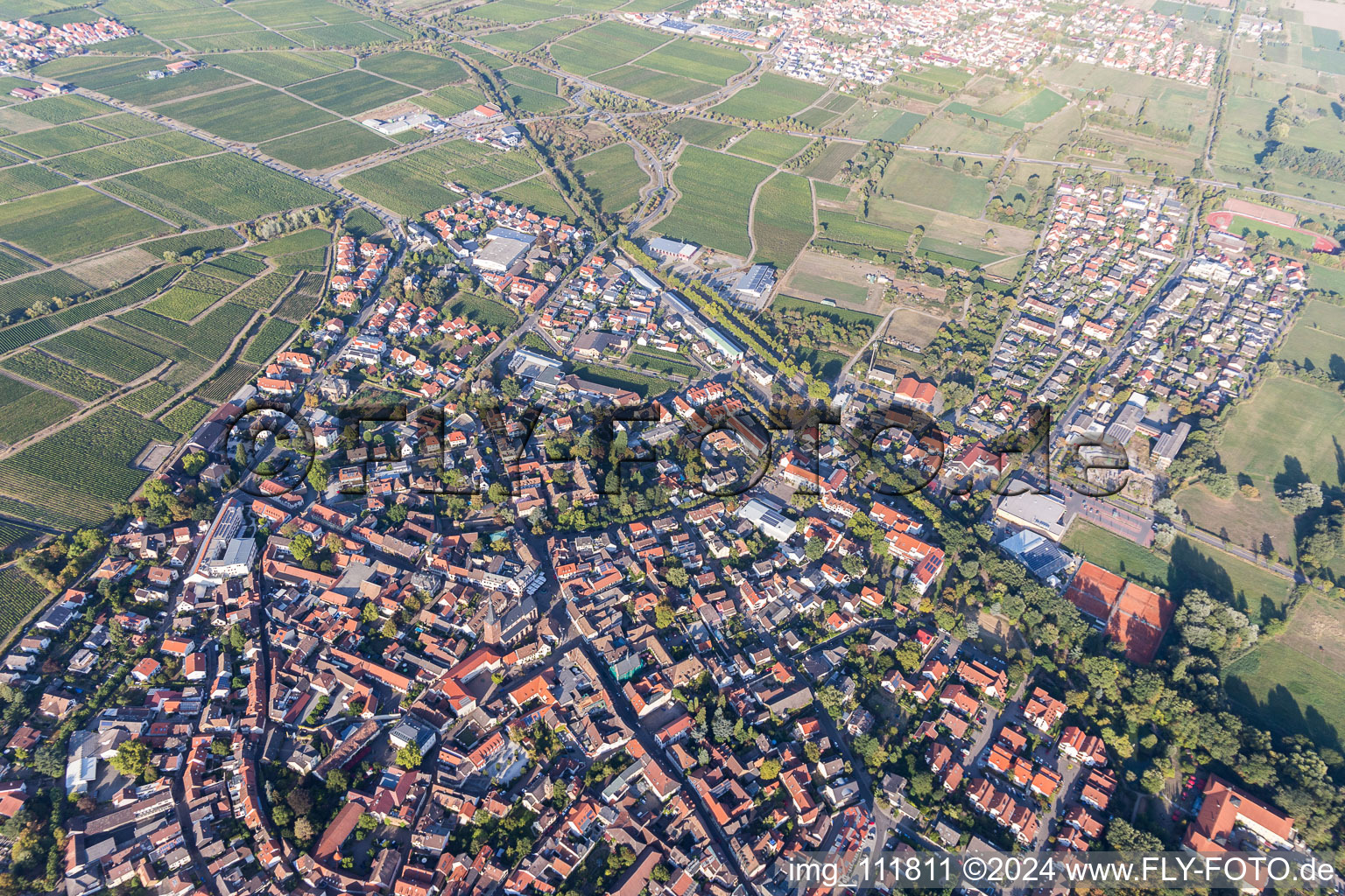 Deidesheim in the state Rhineland-Palatinate, Germany from the plane