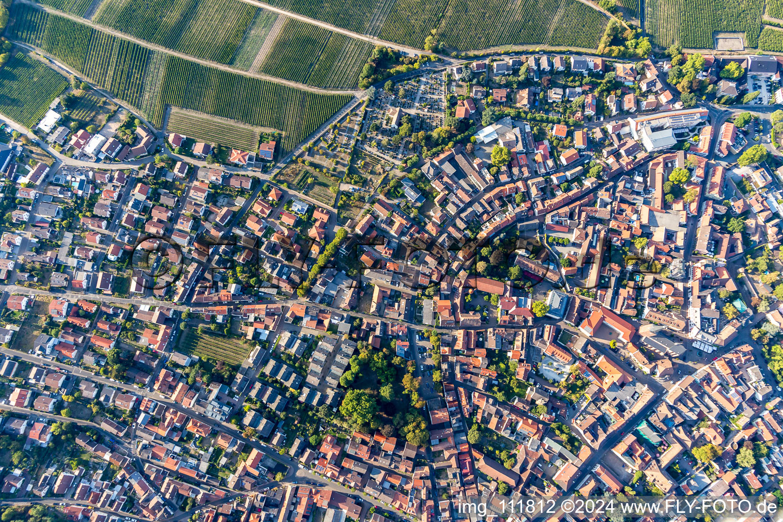 Bird's eye view of Deidesheim in the state Rhineland-Palatinate, Germany