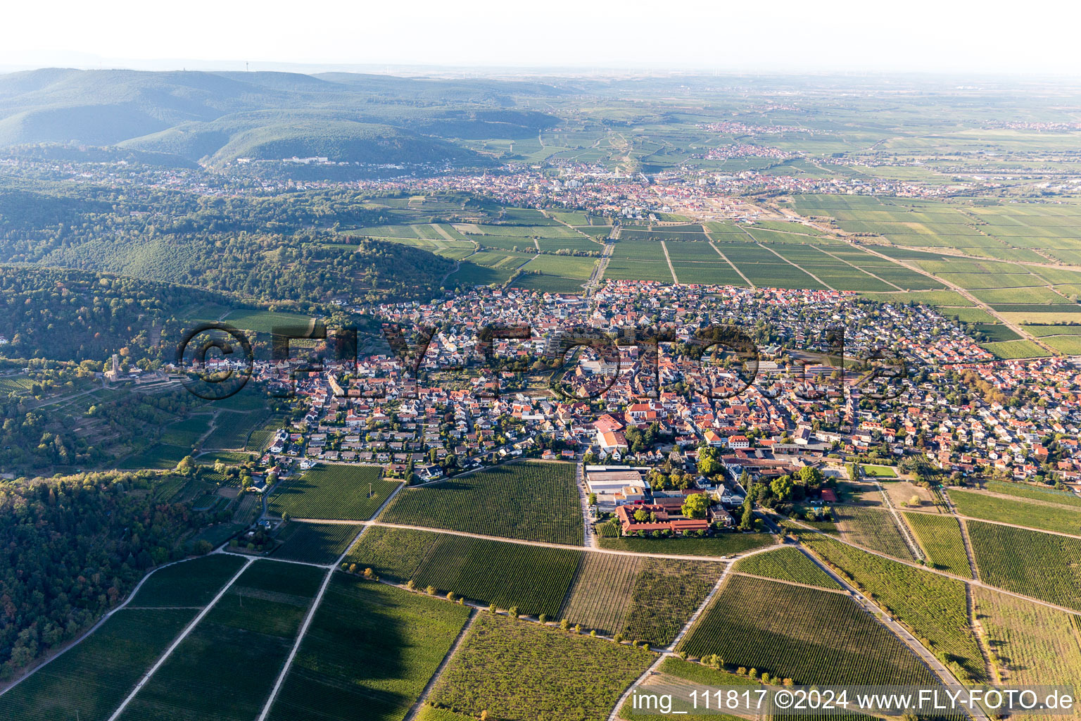 Aerial photograpy of Wachenheim an der Weinstraße in the state Rhineland-Palatinate, Germany