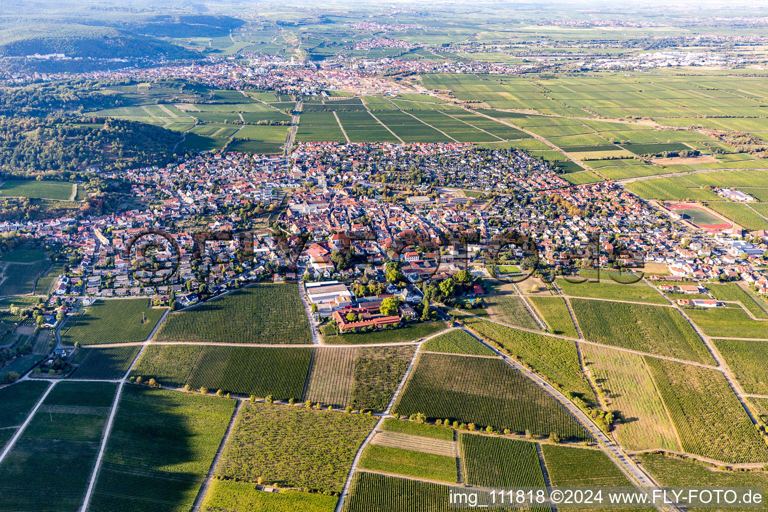 Village view on the edge of wine yards in Wachenheim an der Weinstrasse in the state Rhineland-Palatinate, Germany