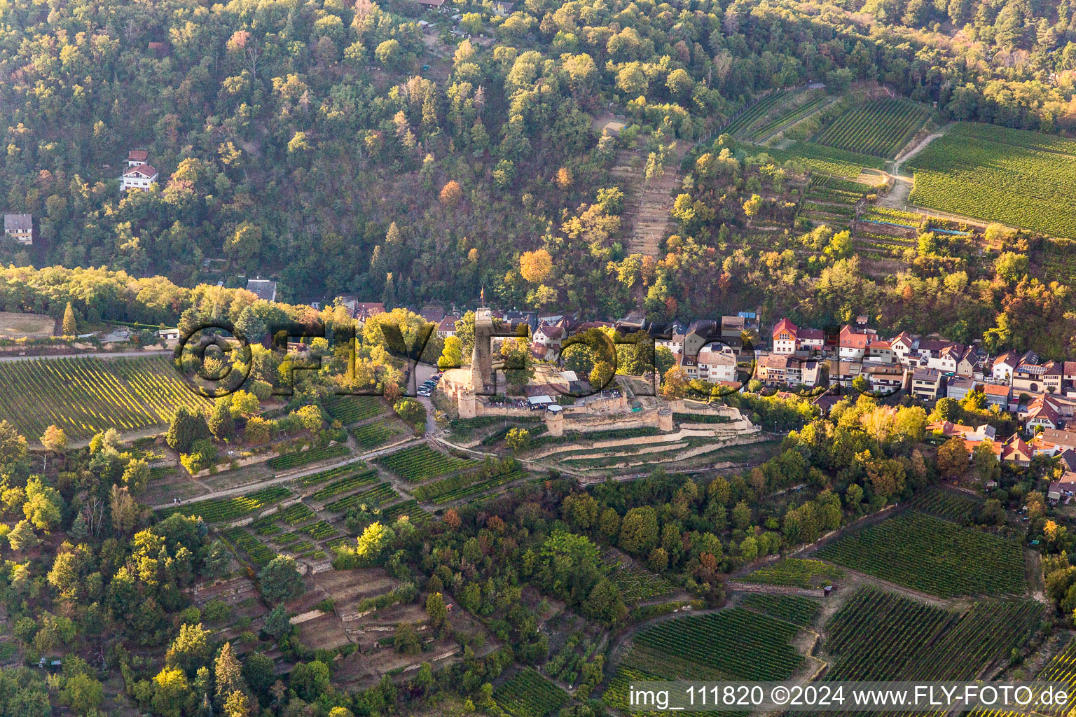 District Wachenheim in Wachenheim an der Weinstraße in the state Rhineland-Palatinate, Germany