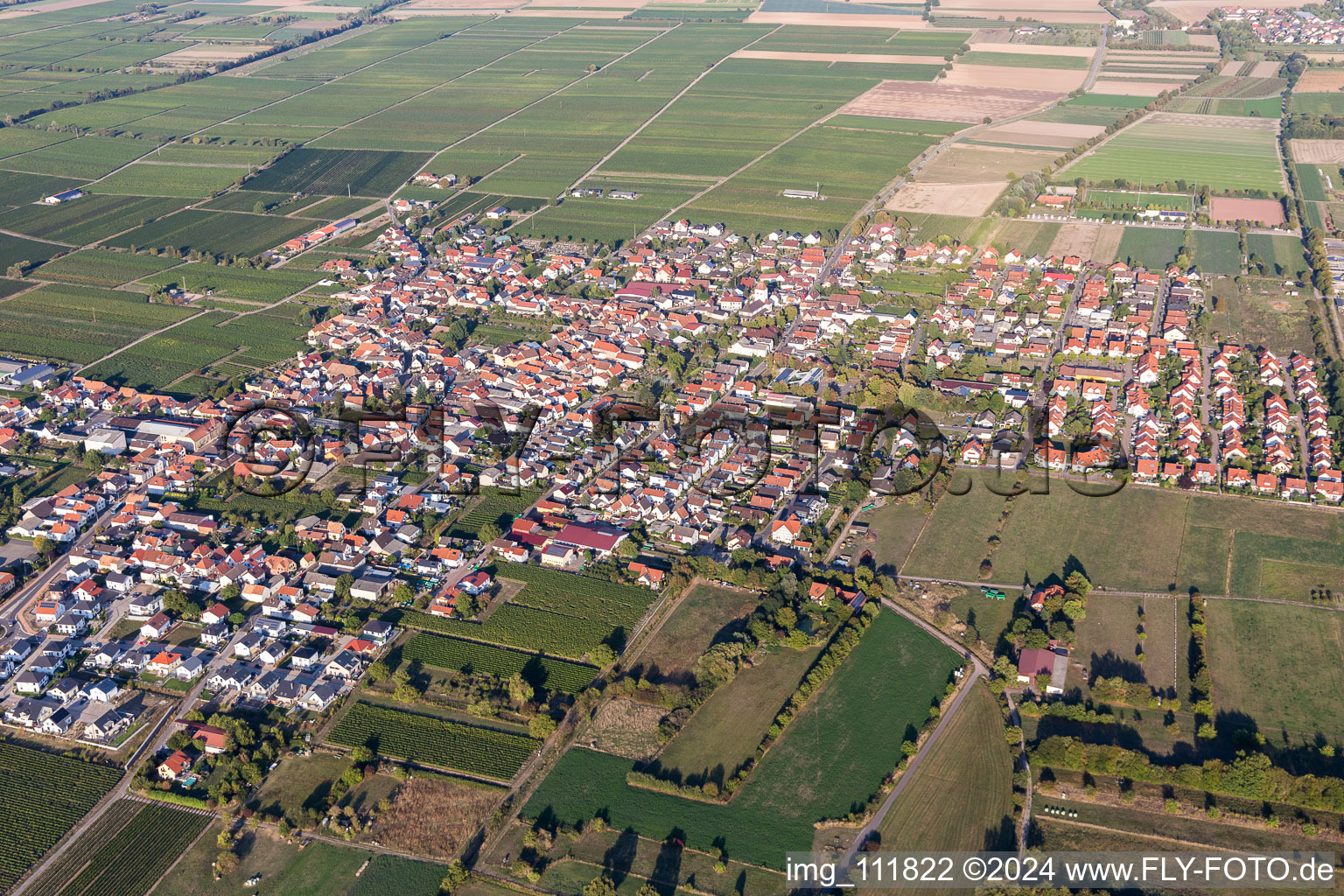 Drone image of Ruppertsberg in the state Rhineland-Palatinate, Germany