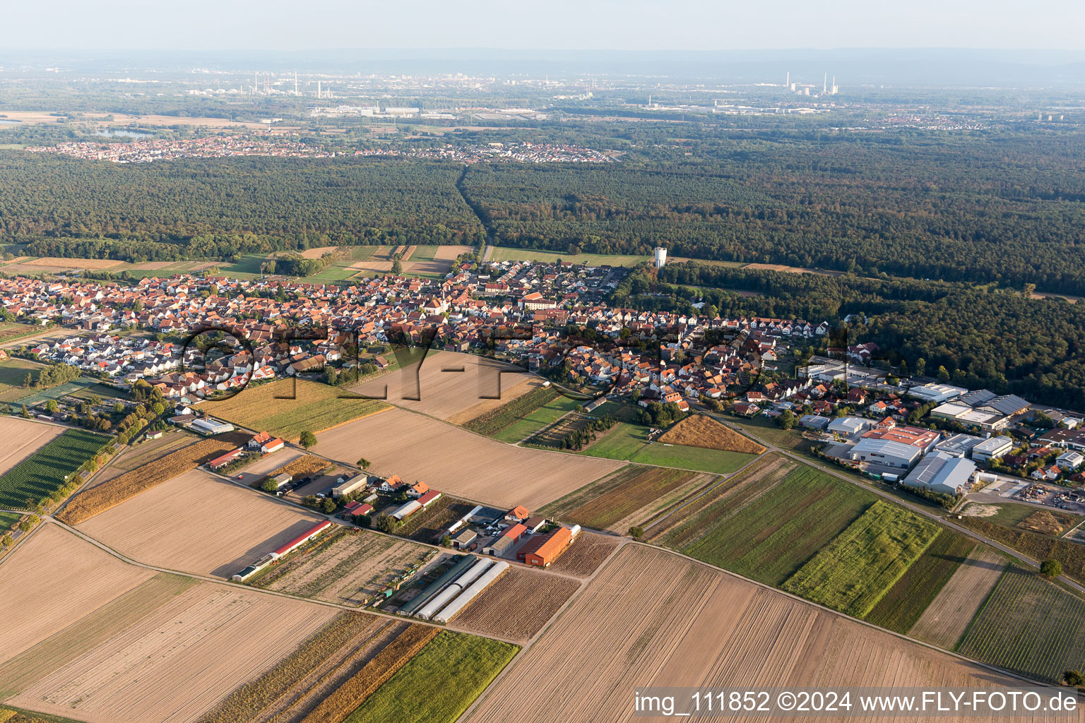 Hatzenbühl in the state Rhineland-Palatinate, Germany from a drone