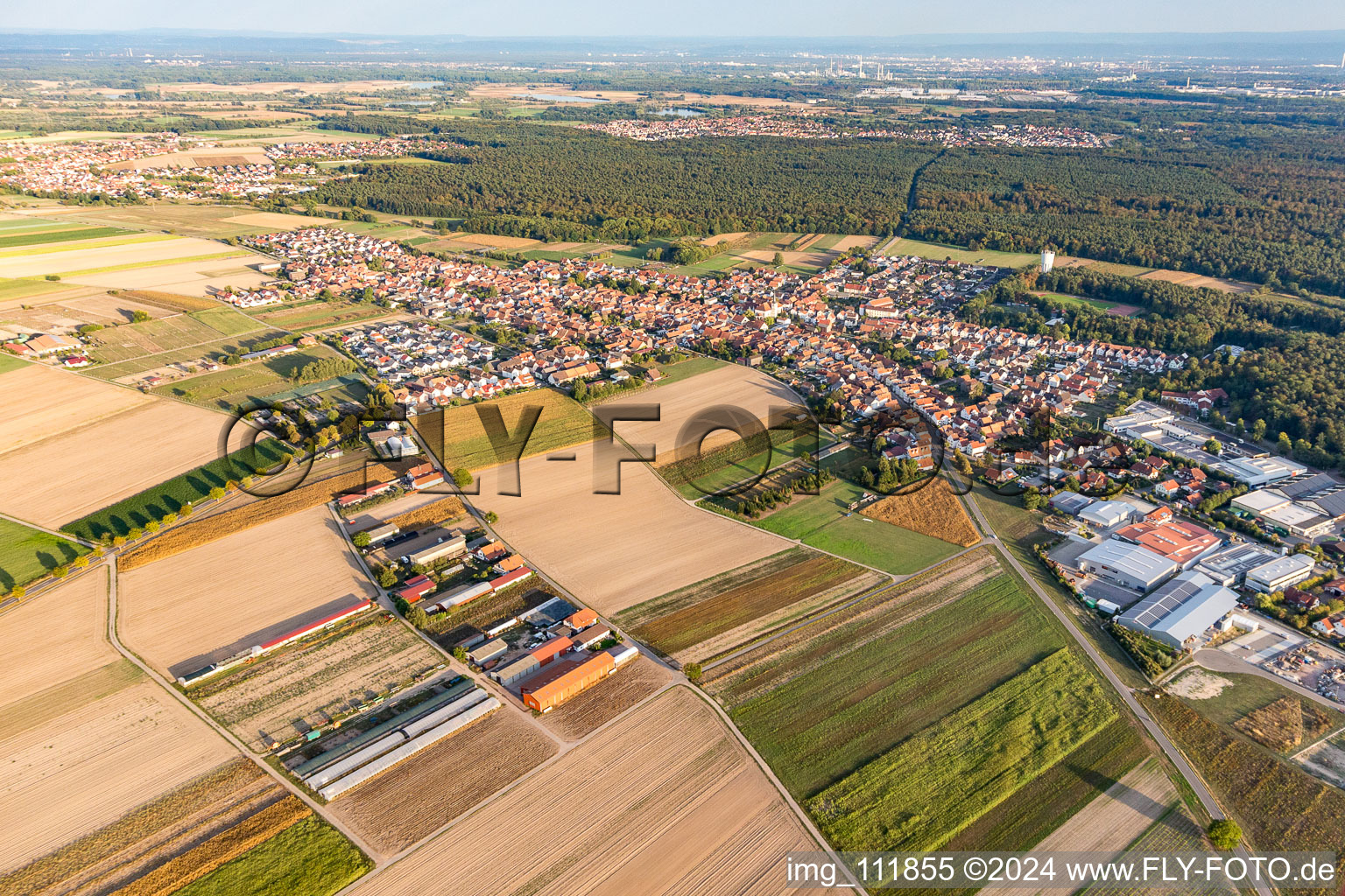 Aerial view of Hatzenbühl in the state Rhineland-Palatinate, Germany