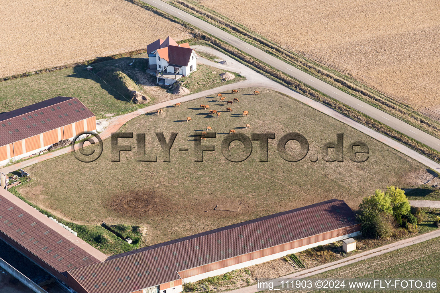 Drone image of Schleithal in the state Bas-Rhin, France