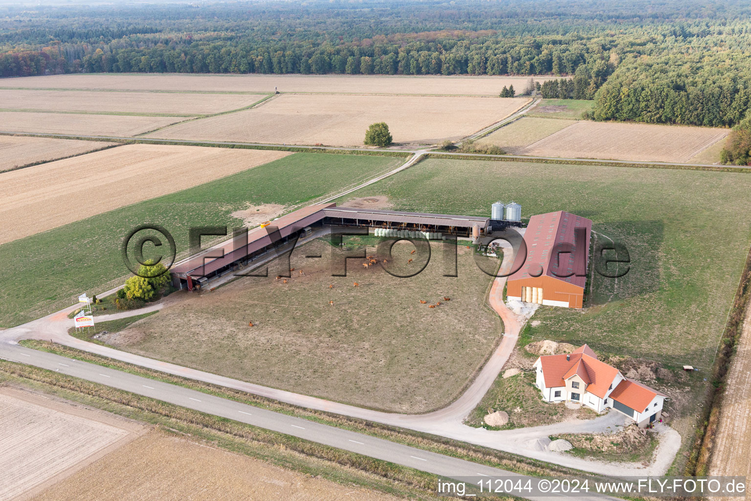 Schleithal in the state Bas-Rhin, France from a drone