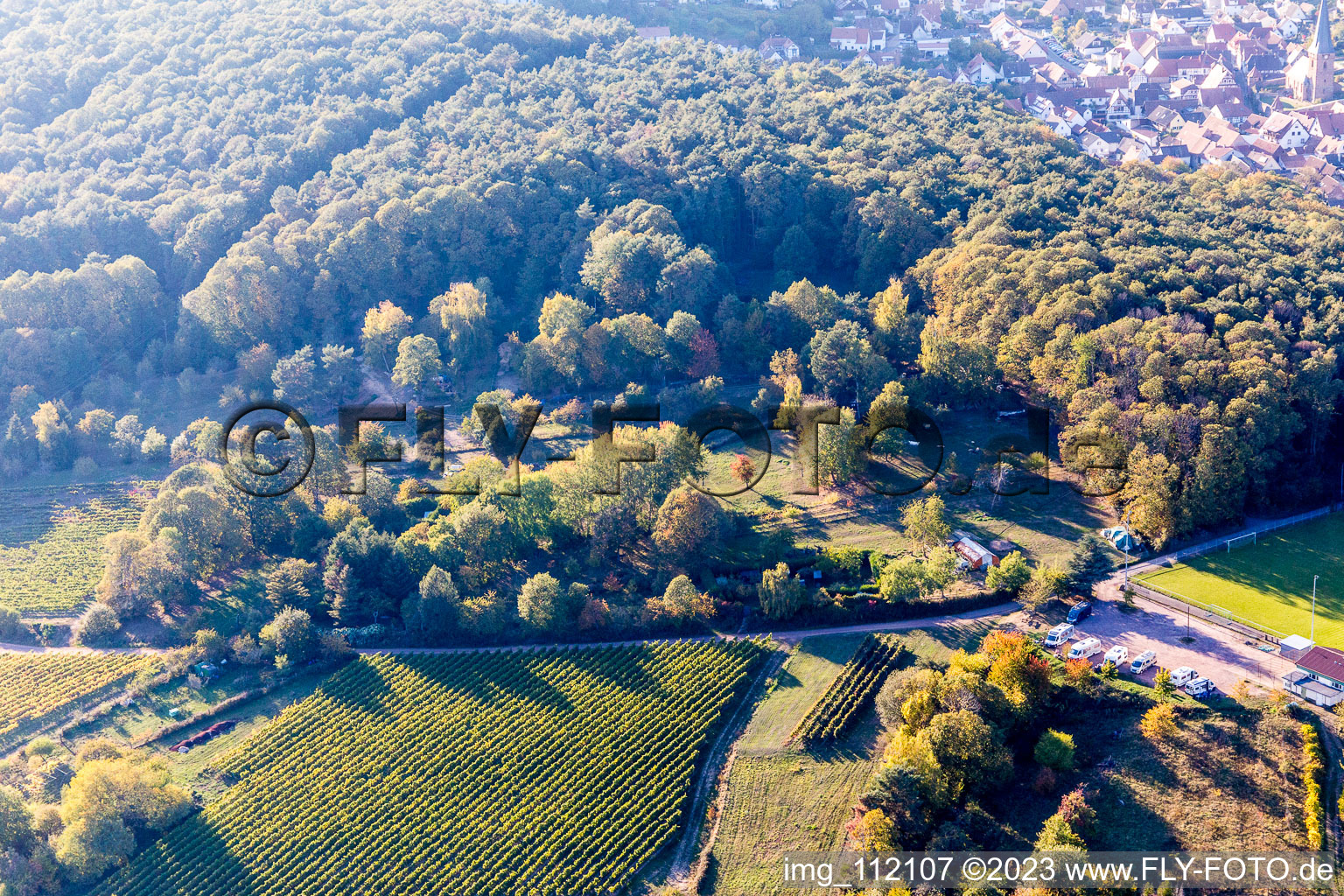 Oblique view of Dörrenbach in the state Rhineland-Palatinate, Germany