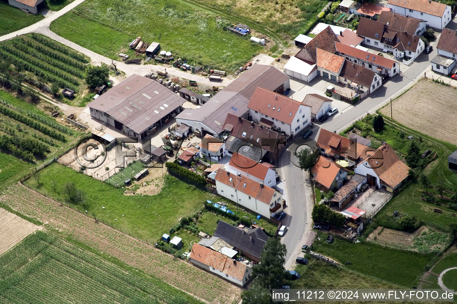 Oblique view of District Mühlhofen in Billigheim-Ingenheim in the state Rhineland-Palatinate, Germany