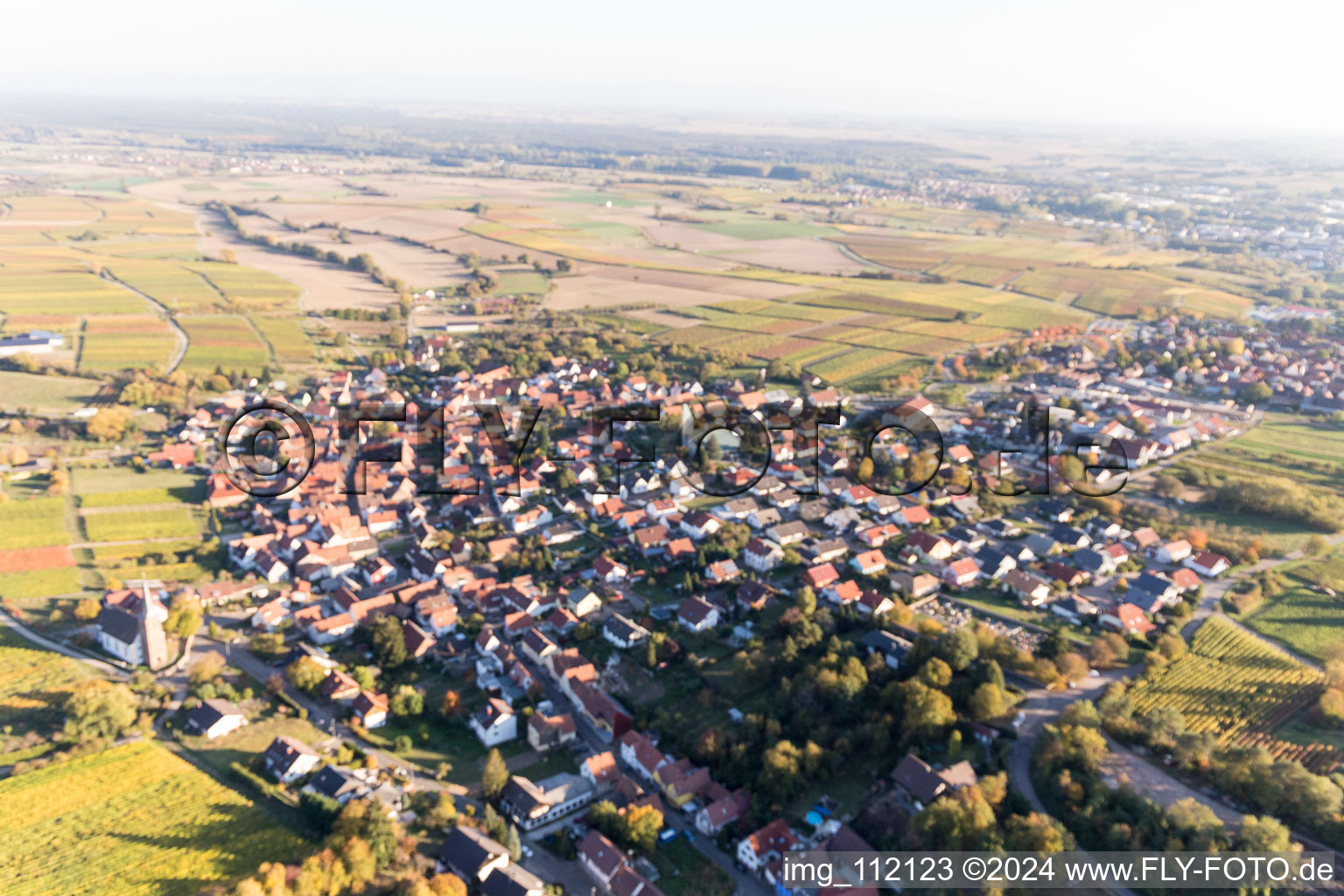 Oblique view of District Rechtenbach in Schweigen-Rechtenbach in the state Rhineland-Palatinate, Germany