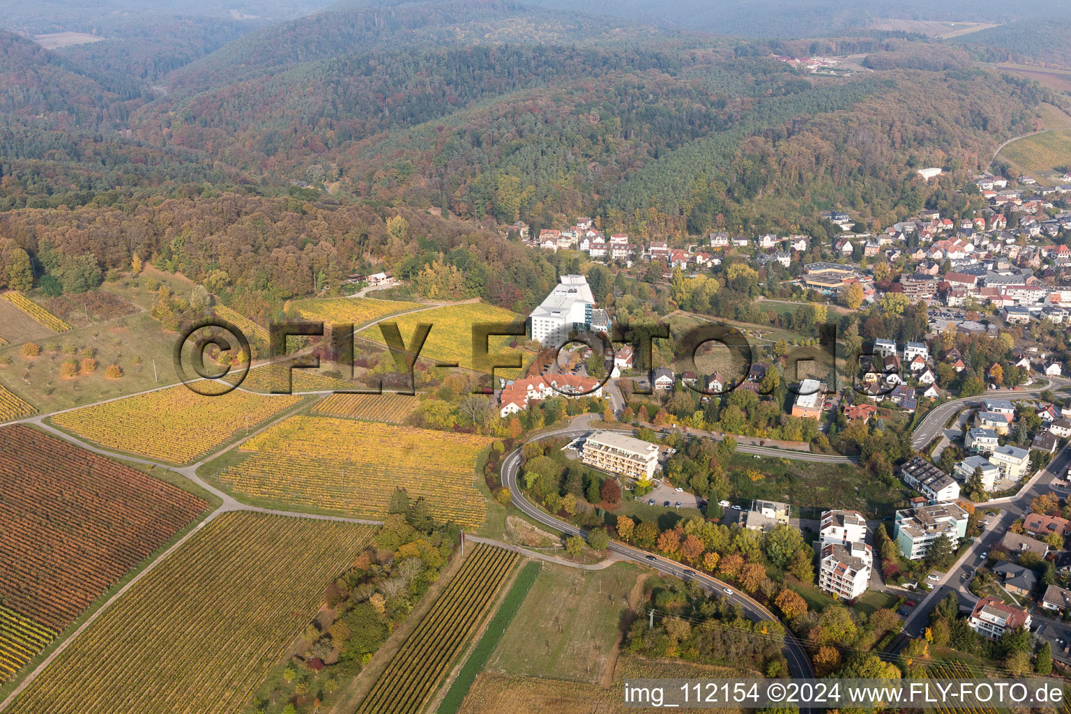 Bad Bergzabern in the state Rhineland-Palatinate, Germany from the plane