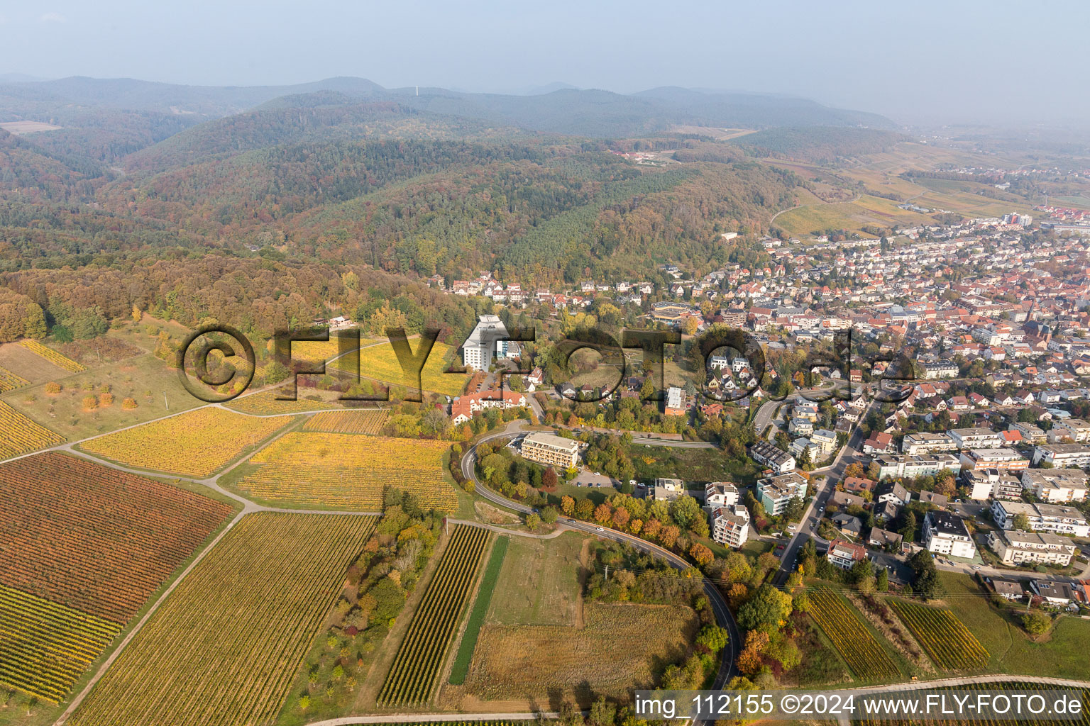 Bird's eye view of Bad Bergzabern in the state Rhineland-Palatinate, Germany