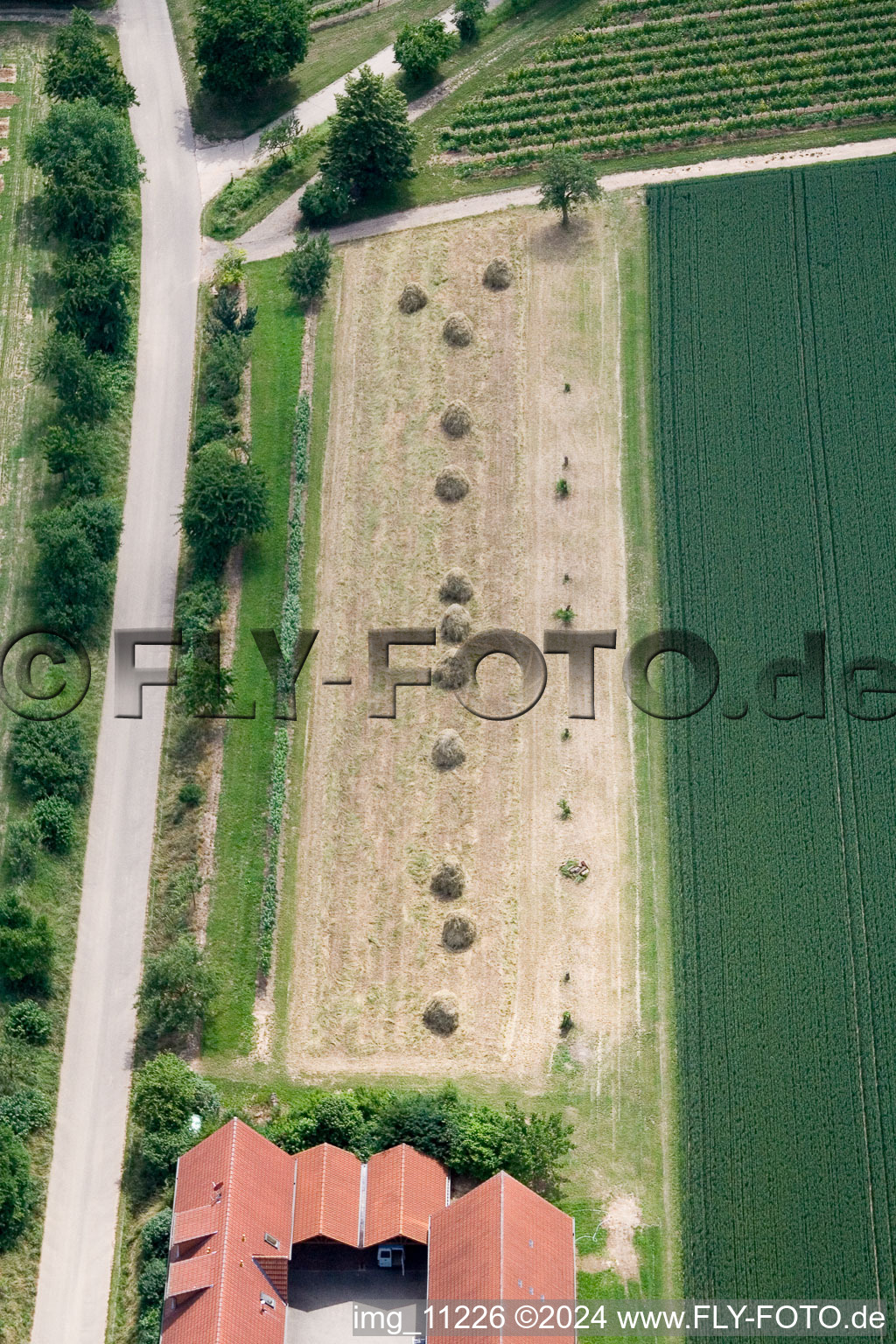 District Mühlhofen in Billigheim-Ingenheim in the state Rhineland-Palatinate, Germany from a drone