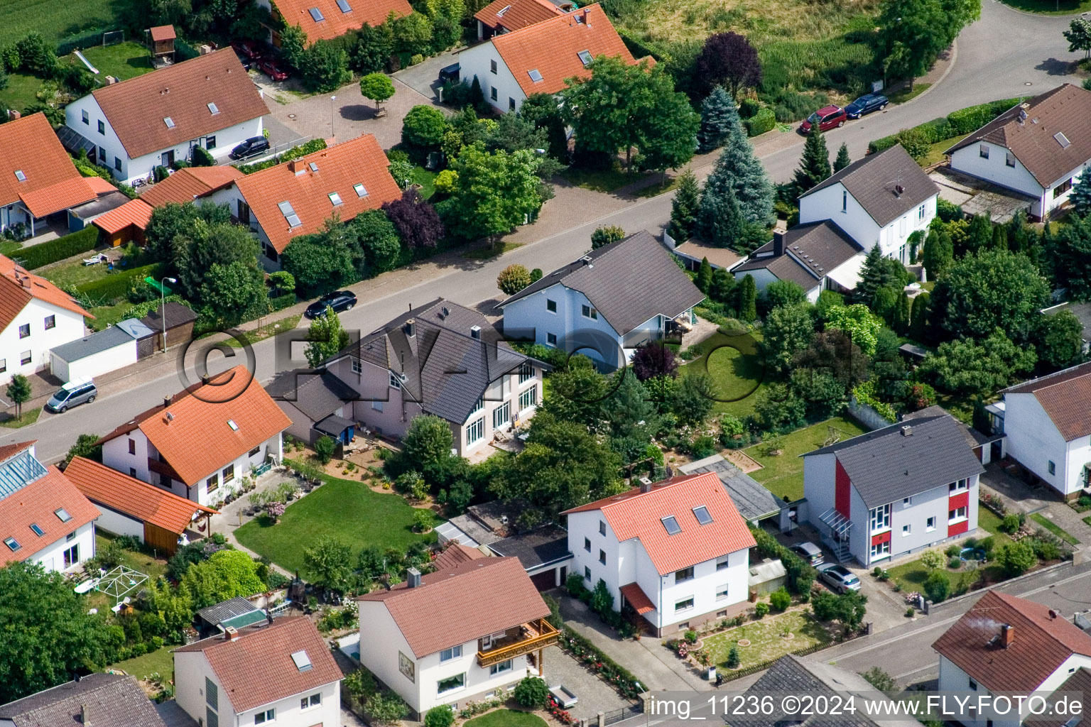 Steinweiler in the state Rhineland-Palatinate, Germany from above