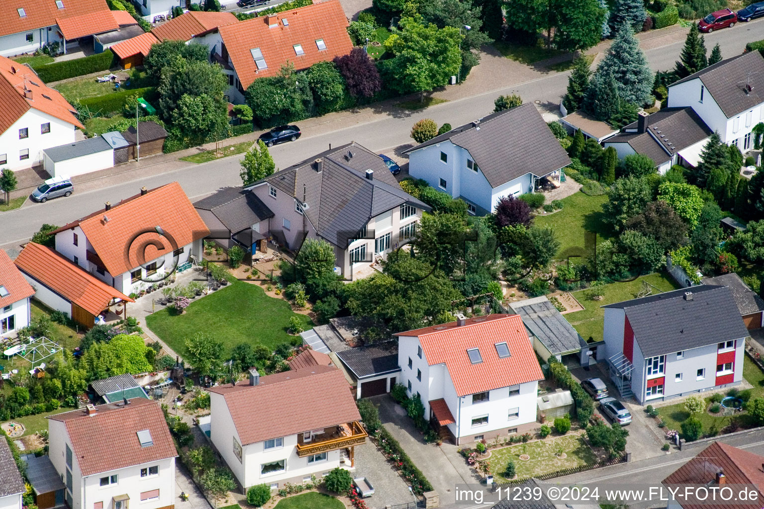 Steinweiler in the state Rhineland-Palatinate, Germany from the plane