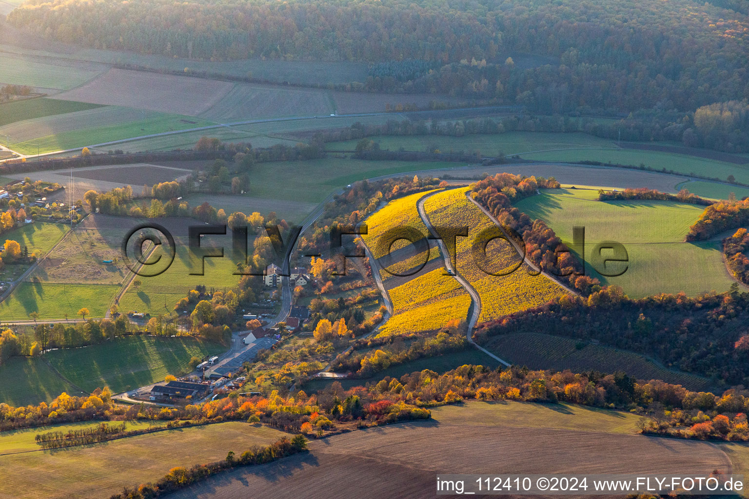 Vineyards in the evening light in the district Stetten in Karlstadt am Main in the state Bavaria, Germany