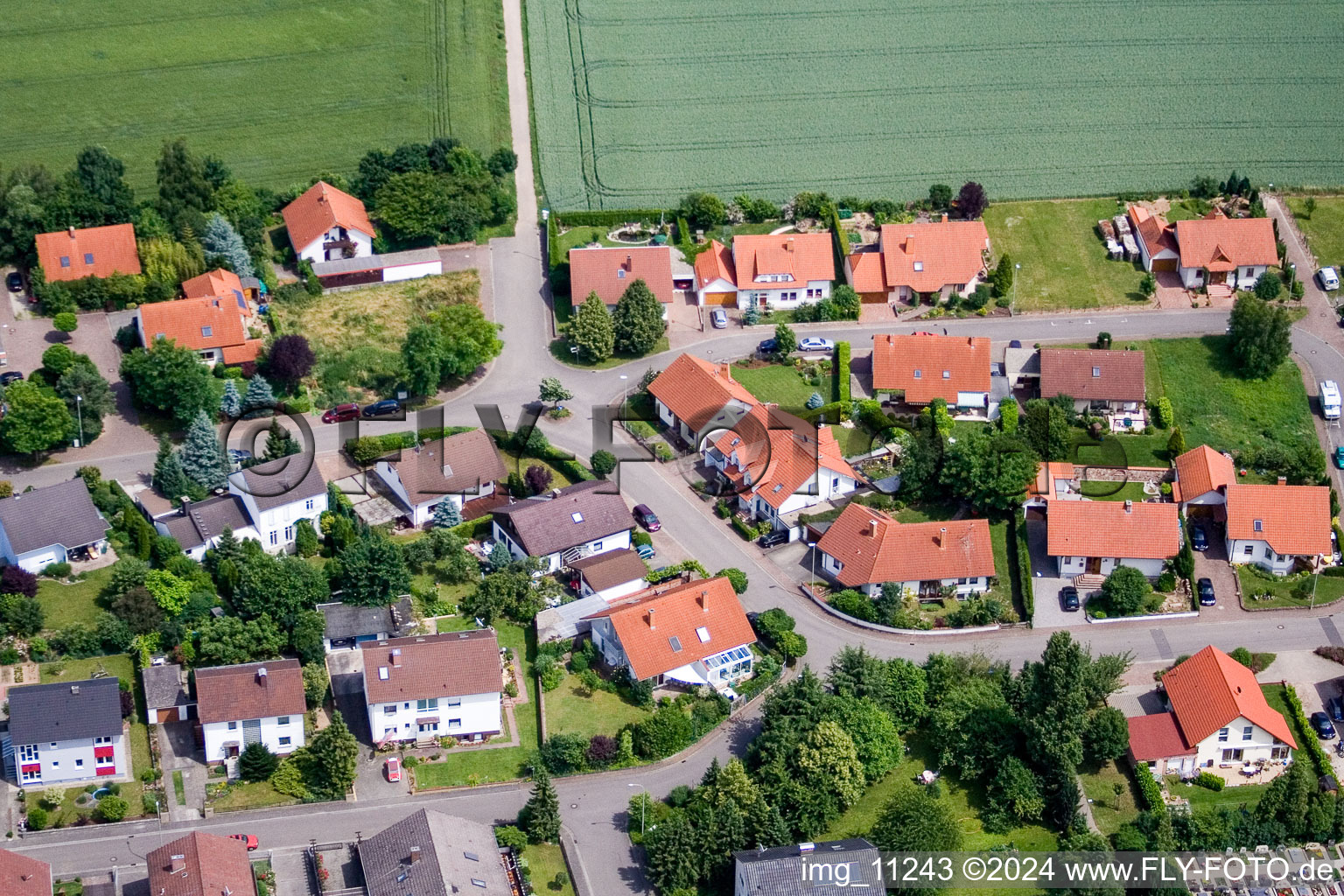 Drone image of Steinweiler in the state Rhineland-Palatinate, Germany