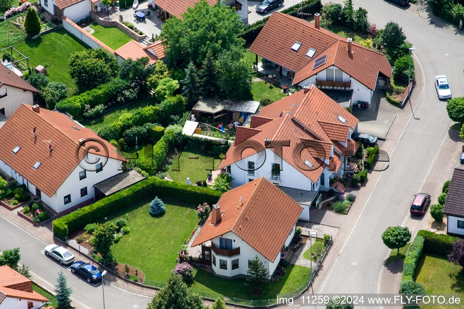 Steinweiler in the state Rhineland-Palatinate, Germany from the drone perspective