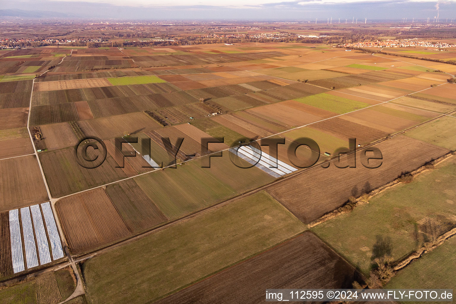 Aerial view of Billigheim-Ingenheim in the state Rhineland-Palatinate, Germany