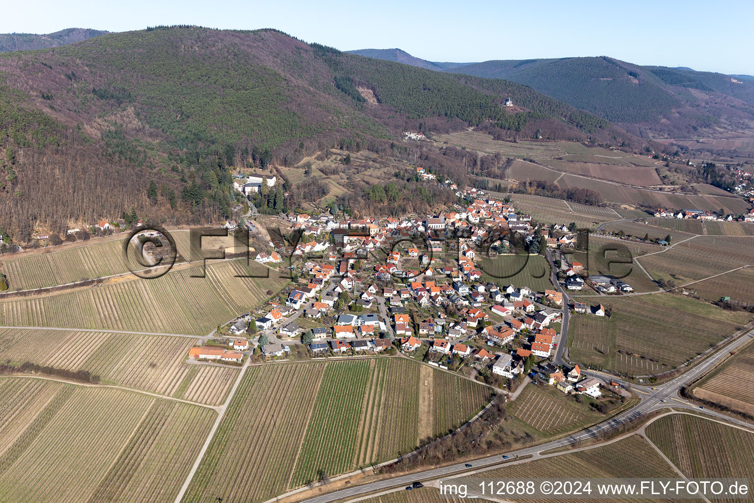 Gleisweiler in the state Rhineland-Palatinate, Germany from a drone