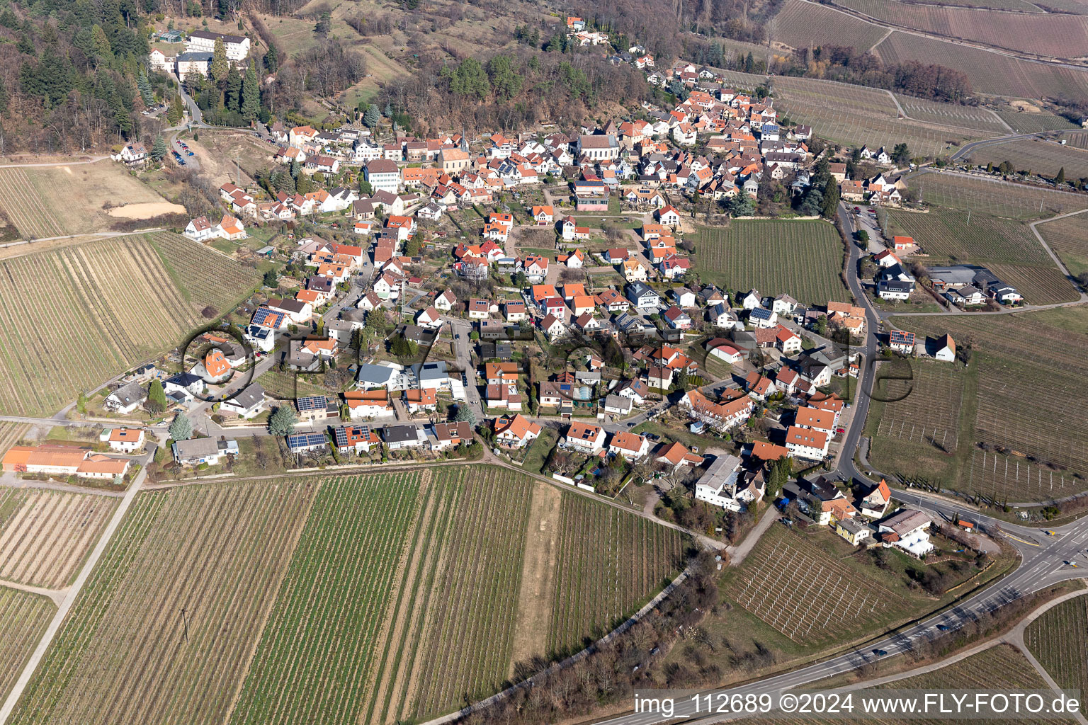 Gleisweiler in the state Rhineland-Palatinate, Germany seen from a drone