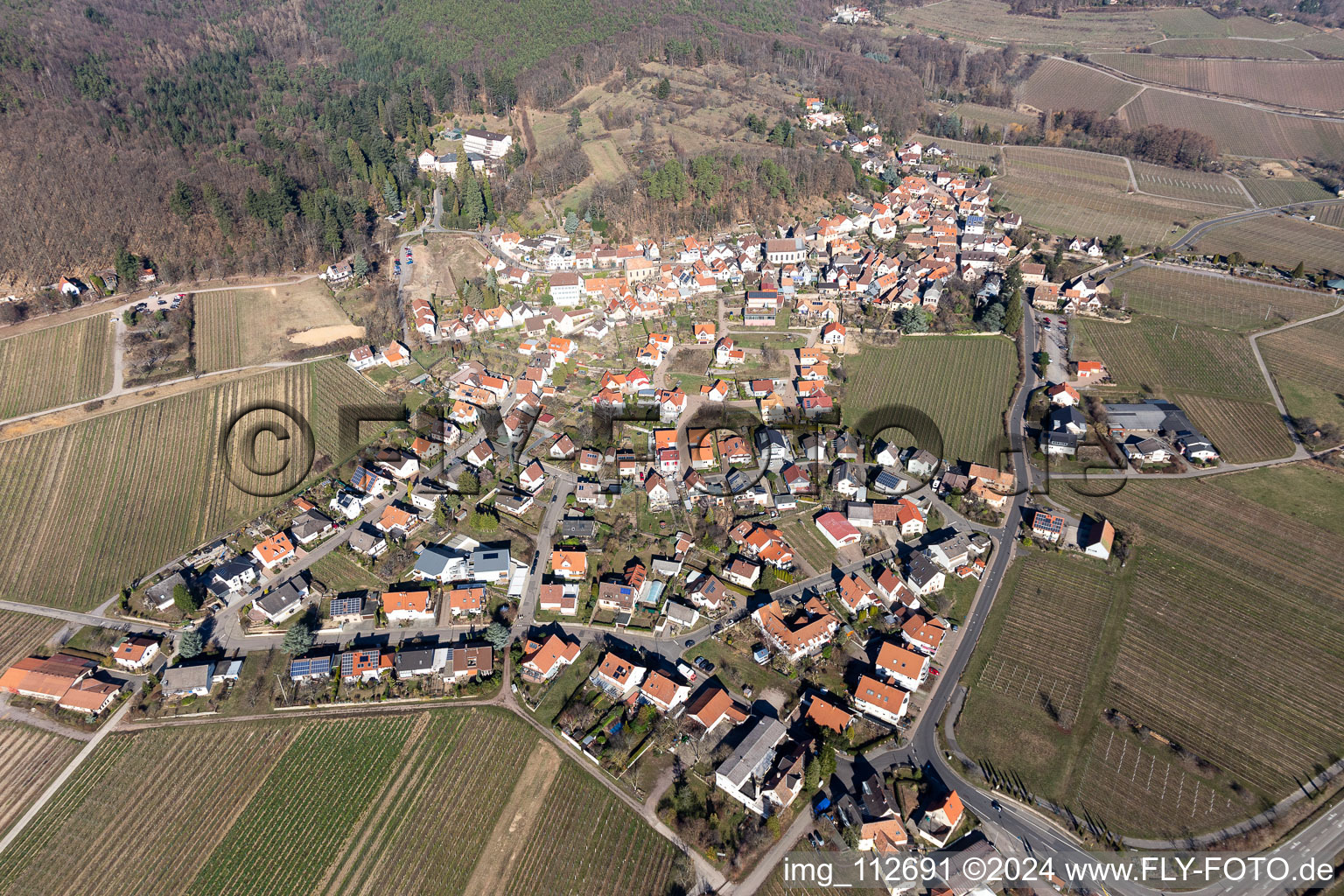 Aerial view of Gleisweiler in the state Rhineland-Palatinate, Germany