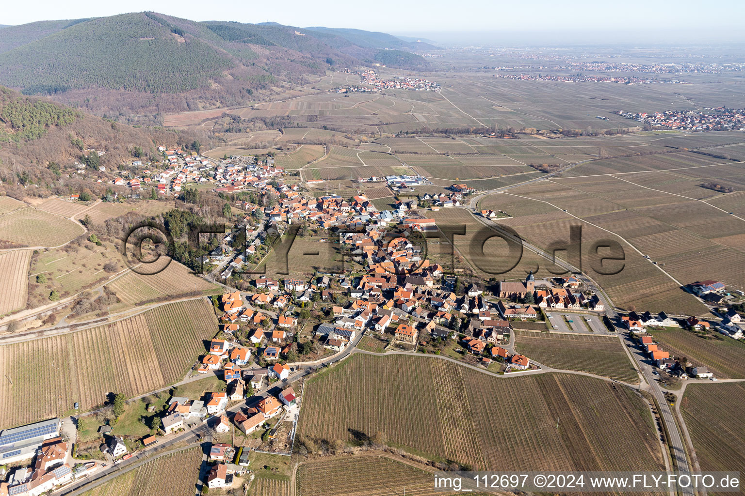 Bird's eye view of Burrweiler in the state Rhineland-Palatinate, Germany