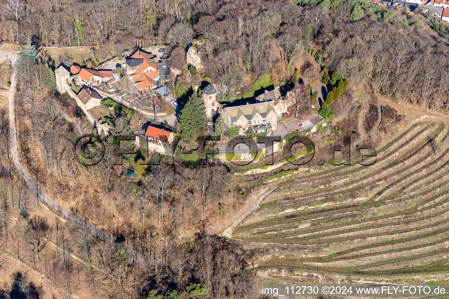 Aerial view of Building of the restaurant Schloss Kropsburg in Sankt Martin in the state Rhineland-Palatinate, Germany