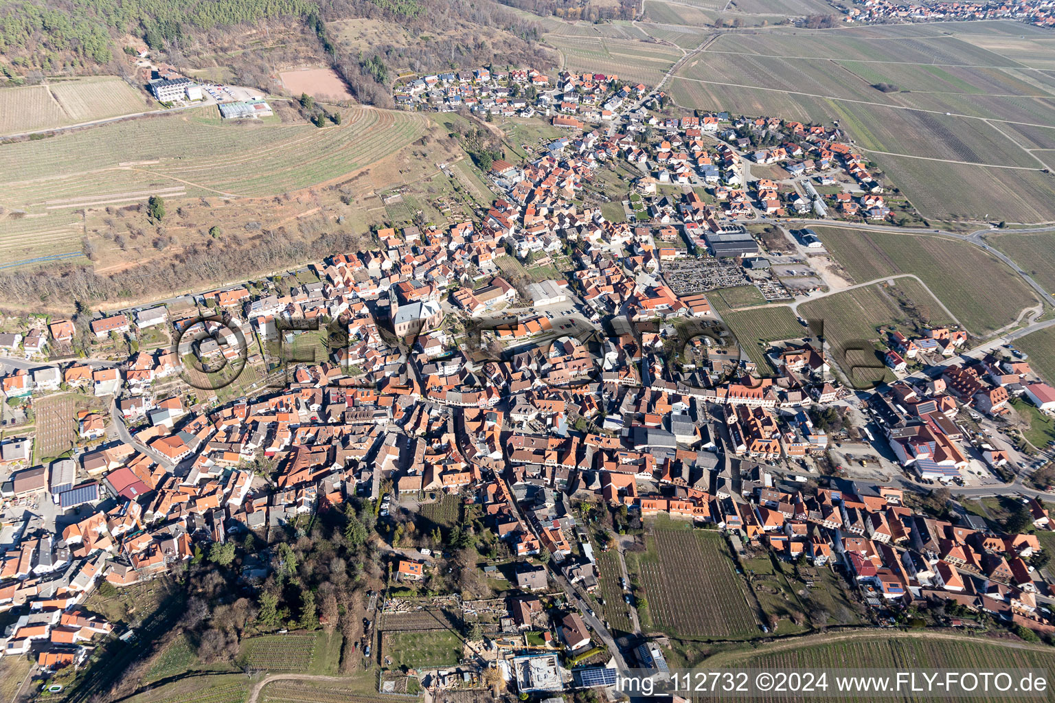 Oblique view of Sankt Martin in the state Rhineland-Palatinate, Germany