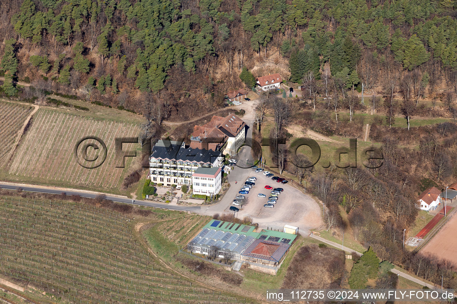 House on the vineyard in Sankt Martin in the state Rhineland-Palatinate, Germany