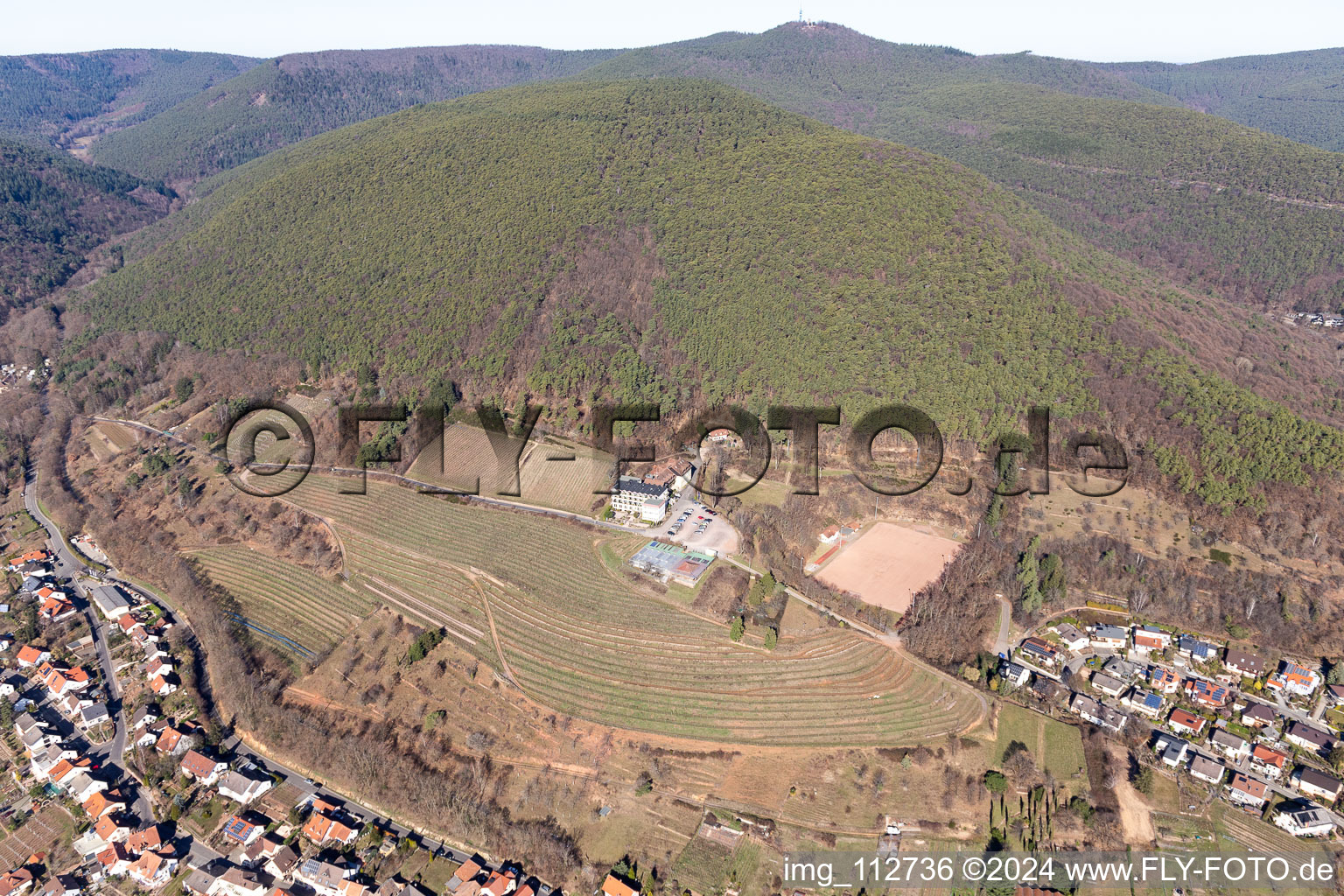 Aerial view of House on the vineyard in Sankt Martin in the state Rhineland-Palatinate, Germany