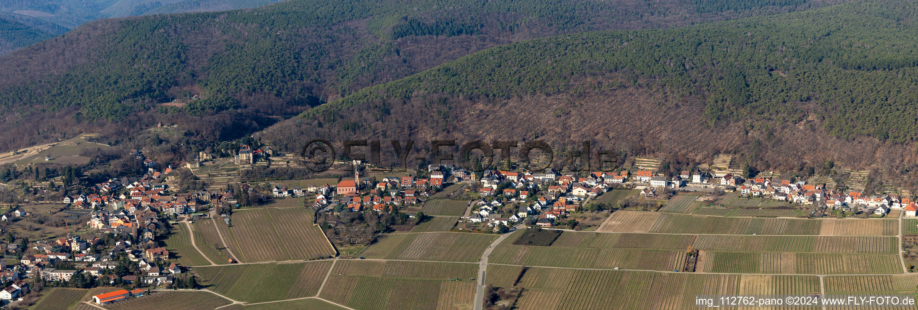 Fields of wine cultivation landscape in the district Haardt in Neustadt an der Weinstrasse in the state Rhineland-Palatinate, Germany