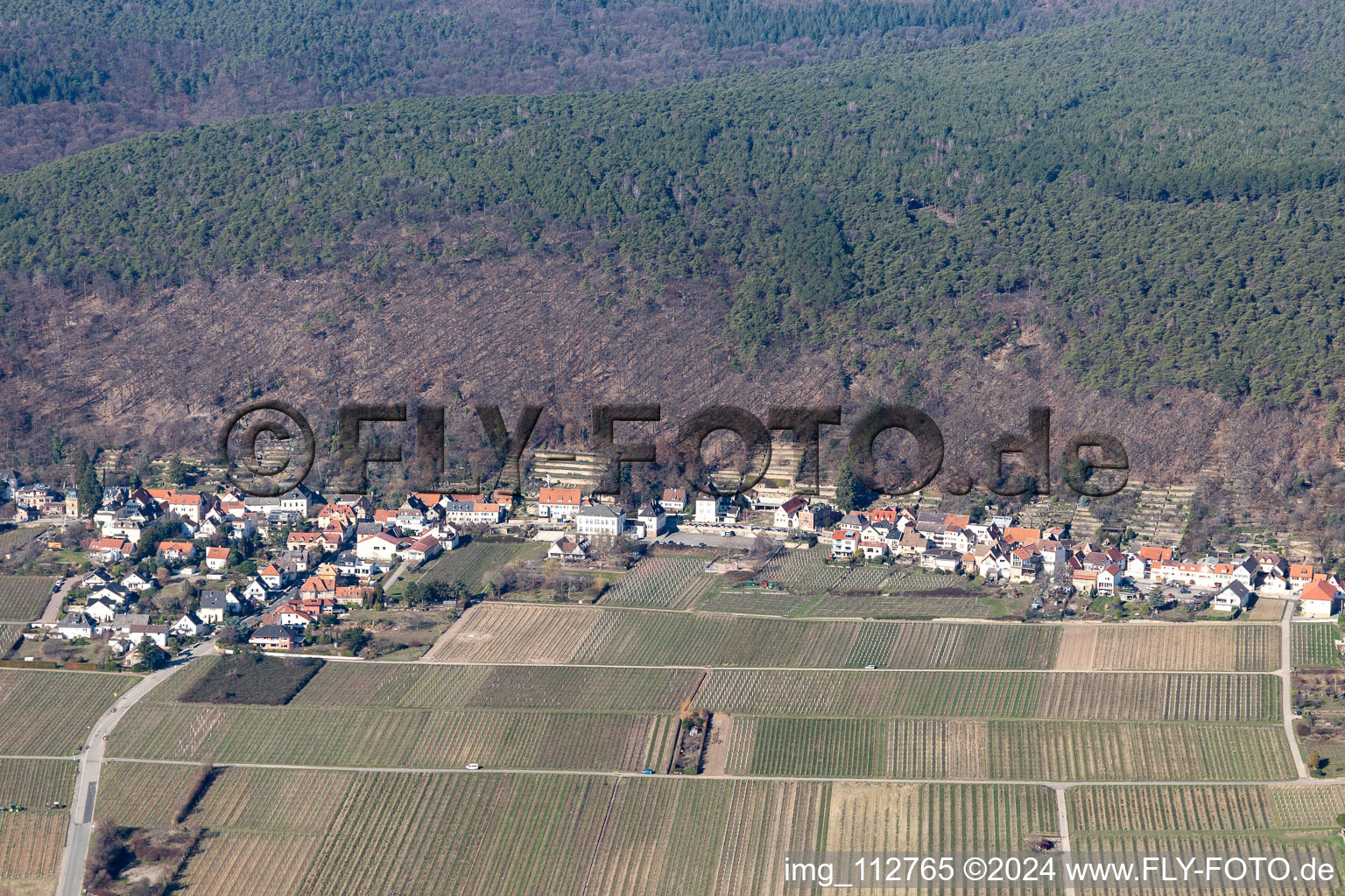 Aerial photograpy of District Haardt in Neustadt an der Weinstraße in the state Rhineland-Palatinate, Germany