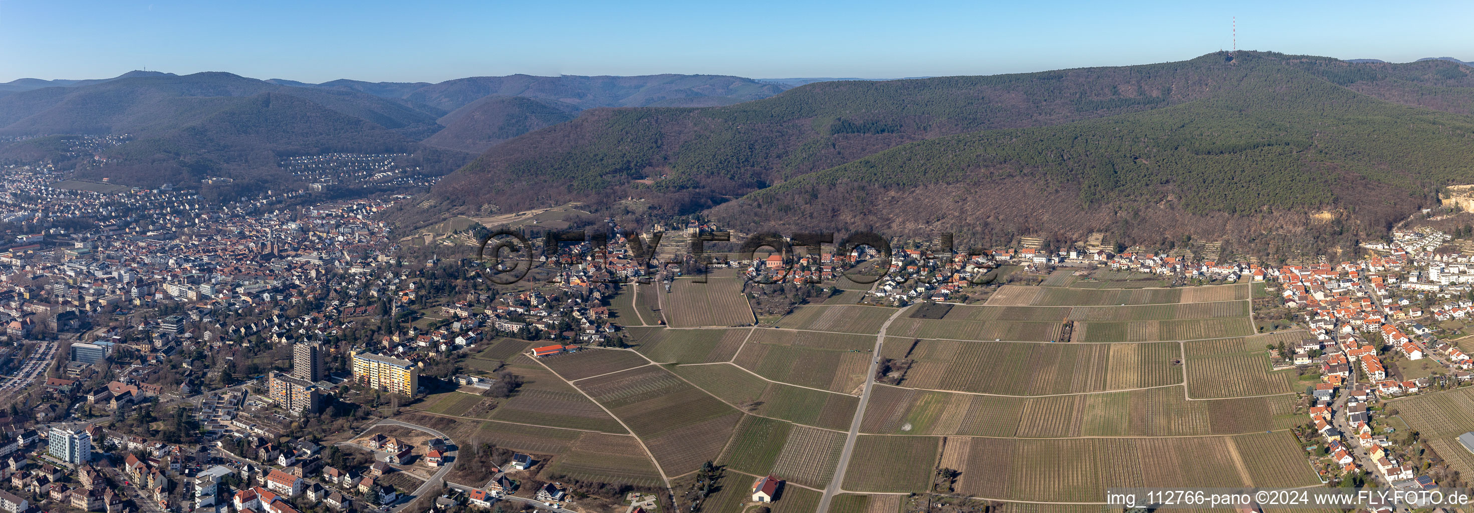 Panoramic perspective fields of wine cultivation landscape in the district Haardt in Neustadt an der Weinstrasse in the state Rhineland-Palatinate, Germany