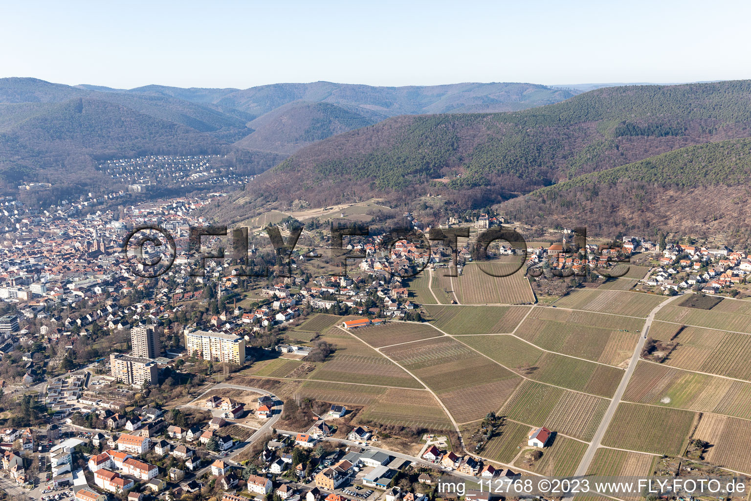 Neustadt an der Weinstraße in the state Rhineland-Palatinate, Germany out of the air