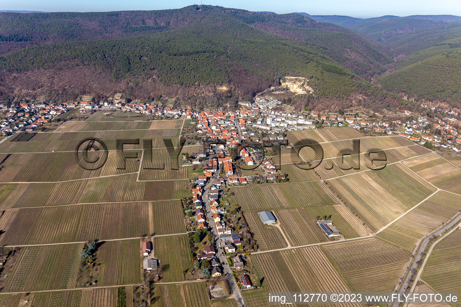 Aerial view of Almond ring in the district Haardt in Neustadt an der Weinstraße in the state Rhineland-Palatinate, Germany
