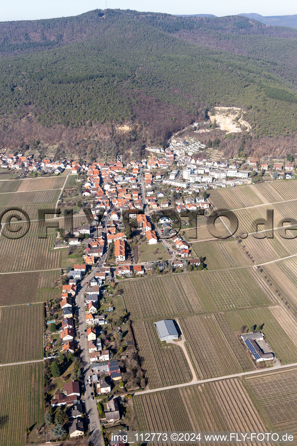 Wine yards surround the settlement area of the village in the district Haardt in Neustadt an der Weinstrasse in the state Rhineland-Palatinate, Germany