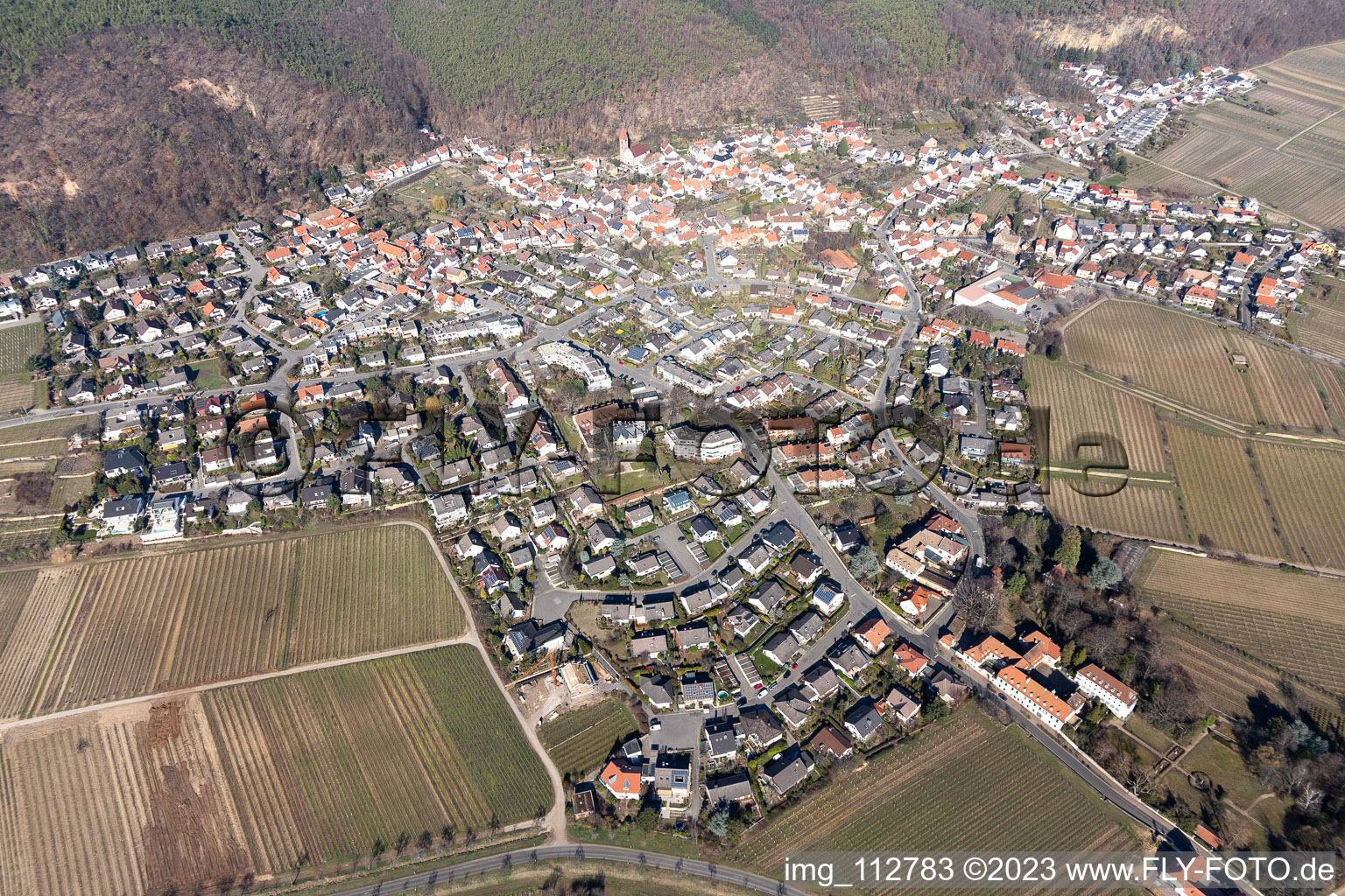 Aerial view of District Königsbach in Neustadt an der Weinstraße in the state Rhineland-Palatinate, Germany