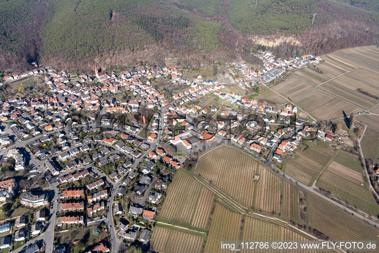 Aerial photograpy of District Königsbach in Neustadt an der Weinstraße in the state Rhineland-Palatinate, Germany