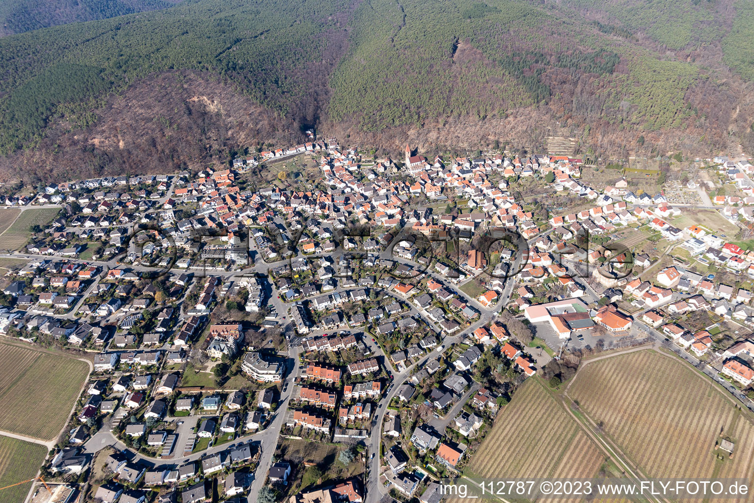 Oblique view of District Königsbach in Neustadt an der Weinstraße in the state Rhineland-Palatinate, Germany