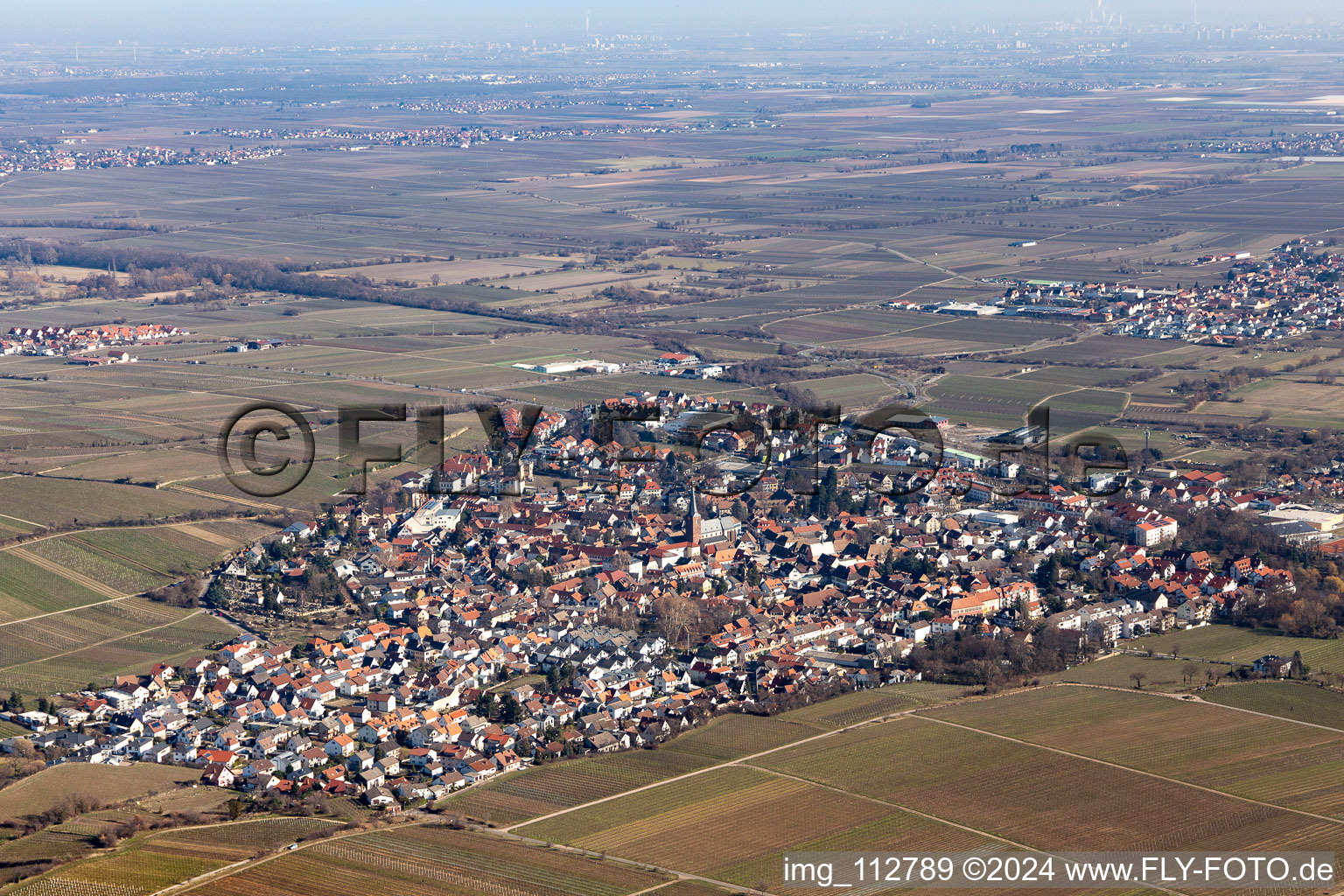 Local area and environment in Deidesheim in the state Rhineland-Palatinate