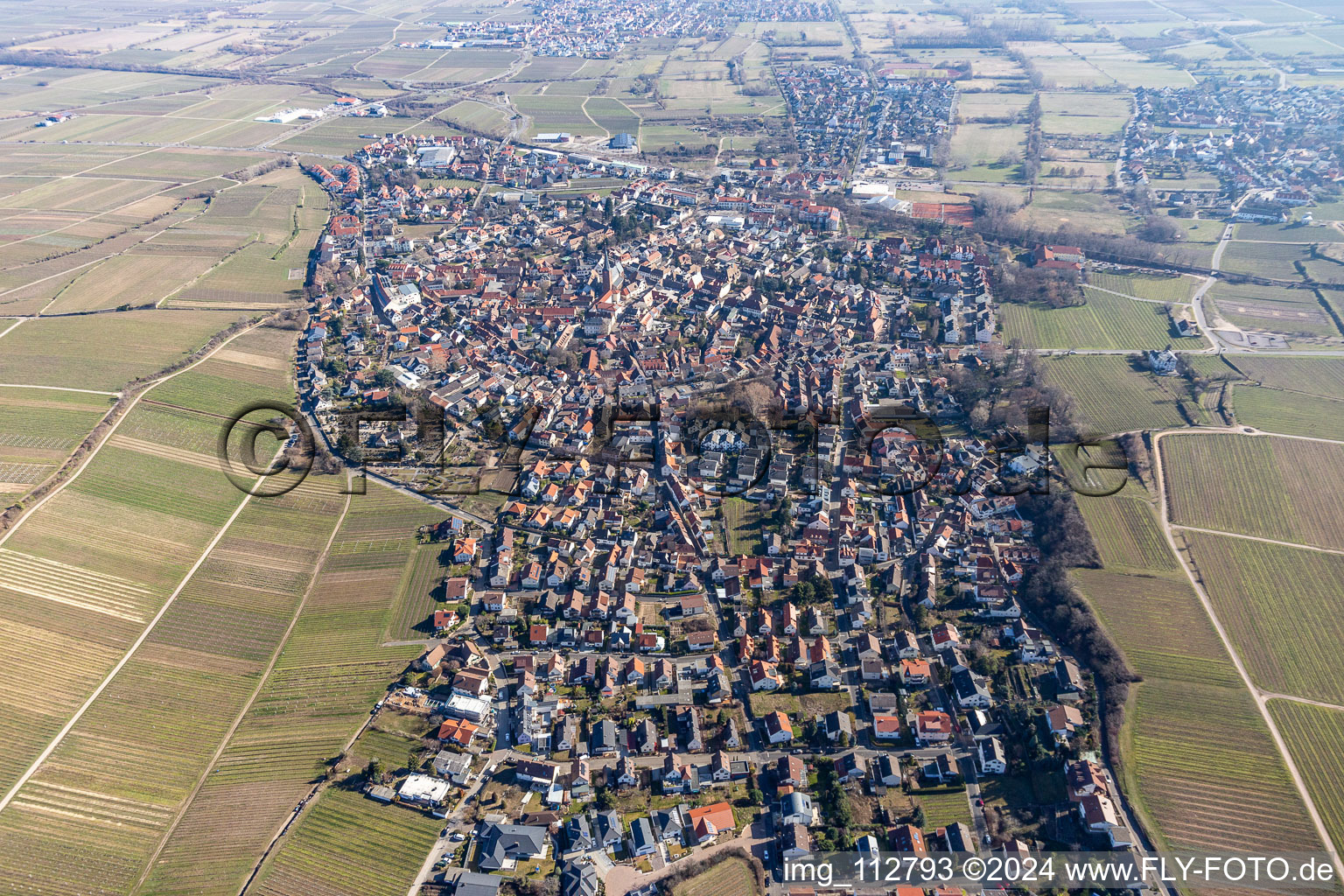 Deidesheim in the state Rhineland-Palatinate, Germany viewn from the air