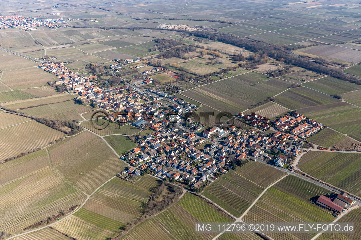 Aerial view of Village - view on the edge of wine yards in Forst an der Weinstrasse in the state Rhineland-Palatinate, Germany