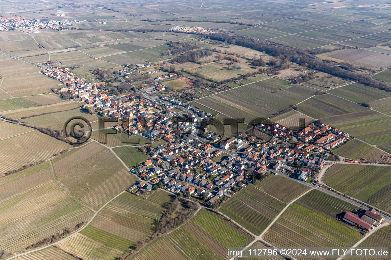 Aerial view of Village - view on the edge of wine yards in Forst an der Weinstrasse in the state Rhineland-Palatinate, Germany