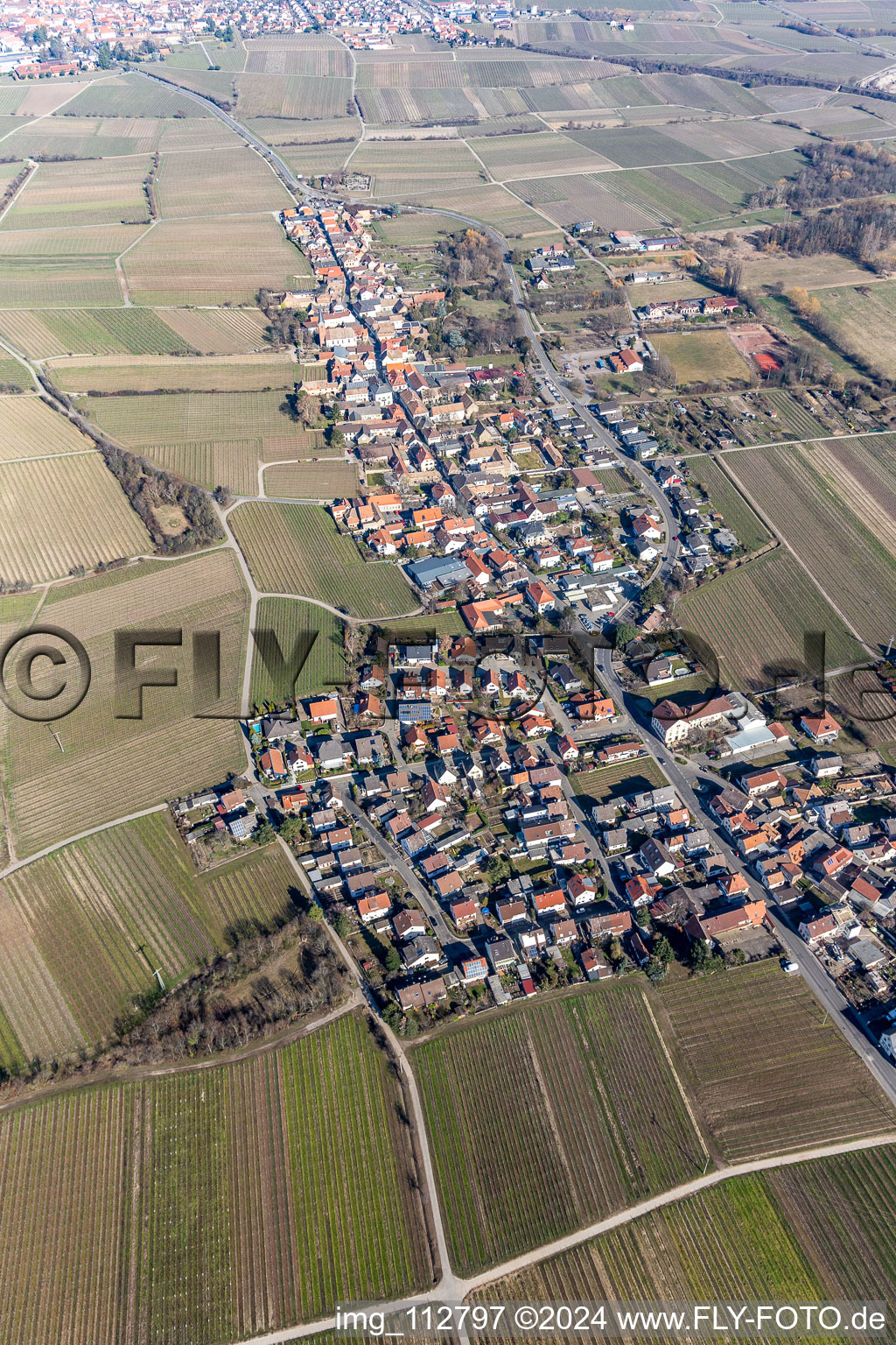 Bird's eye view of Forst an der Weinstraße in the state Rhineland-Palatinate, Germany