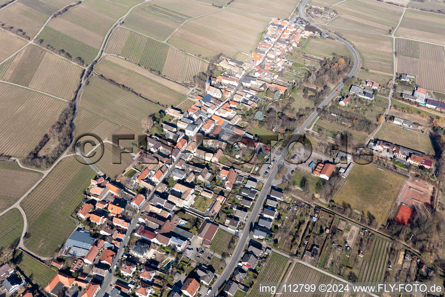 Drone recording of Forst an der Weinstraße in the state Rhineland-Palatinate, Germany