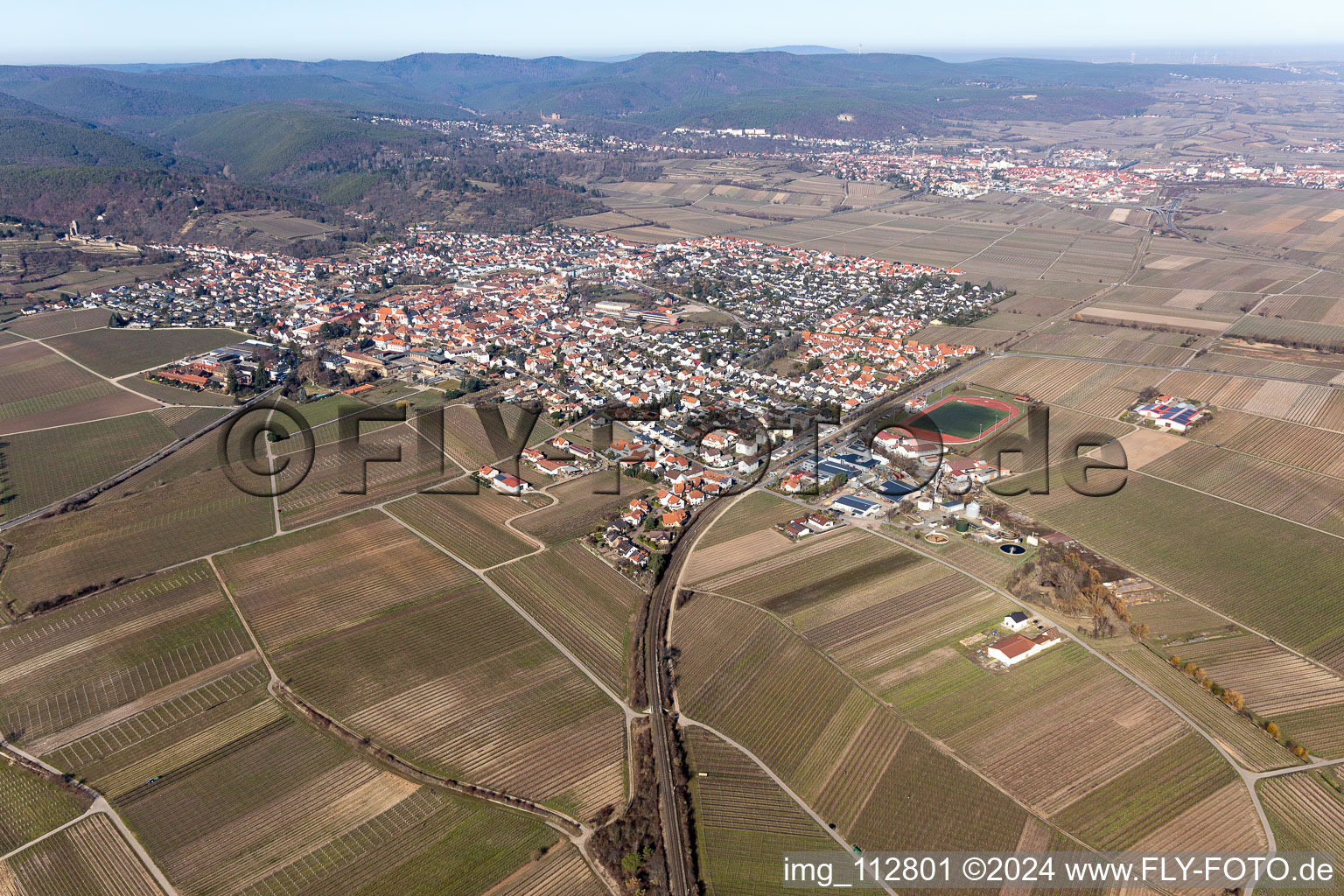 Oblique view of Wachenheim an der Weinstraße in the state Rhineland-Palatinate, Germany