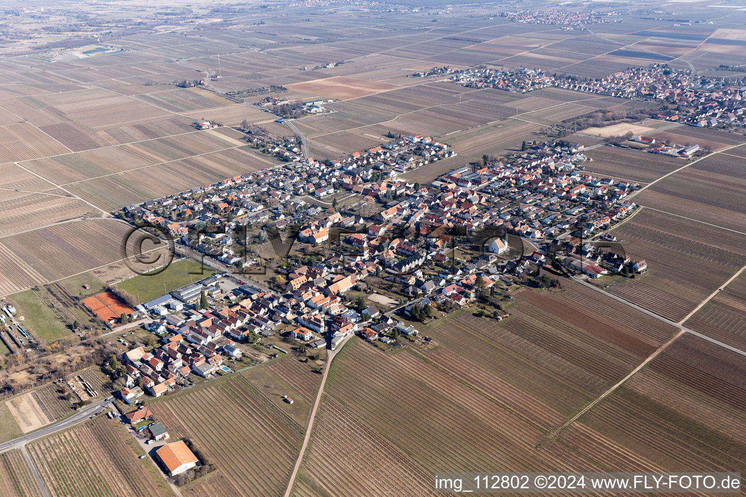 Friedelsheim in the state Rhineland-Palatinate, Germany out of the air