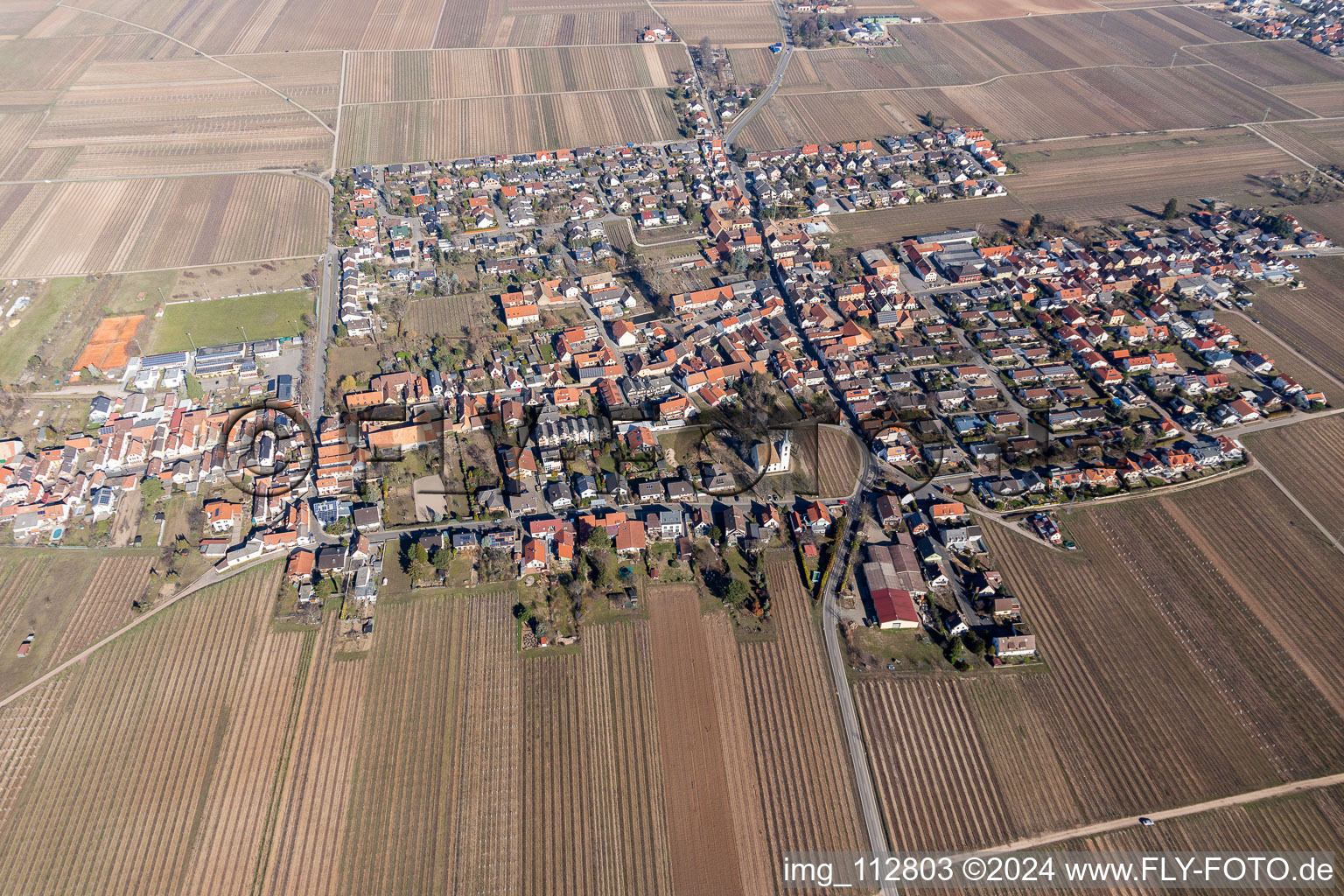 Friedelsheim in the state Rhineland-Palatinate, Germany seen from above